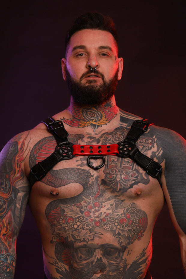 BEAST HARNESS